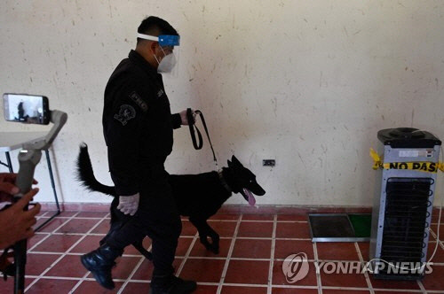 무증상자도 찾아낸다는 엘살바도르의 코로나19 탐지견. [연합뉴스]